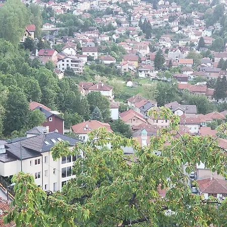 Prenociste Mm